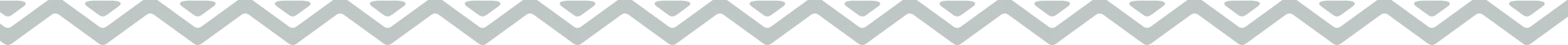 decoratief patroon